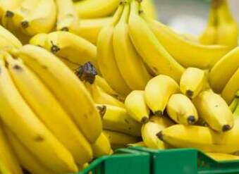 В Эквадоре нашли порошок-убийцу в бананах, направлявшихся в РФ