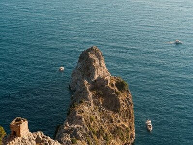 Севастопольские ученые выяснили, почему вымирает планктон в Черном ...